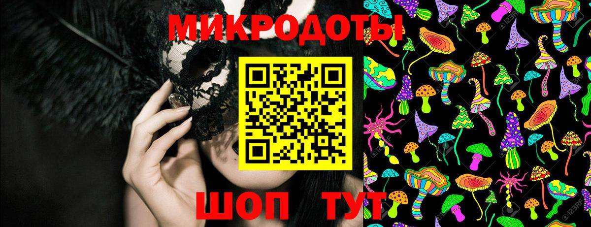 Псилоцибиновые грибы Psilocybe Омск
