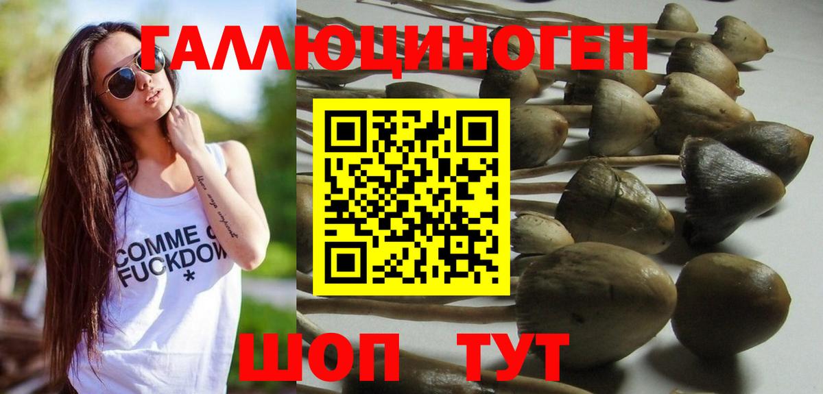 Псилоцибиновые грибы Psilocybine cubensis  Вход с VPN  Галлюциногенные грибы Psilocybine cubensis  Омск 